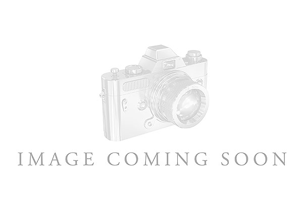 A302-14115: LDS DIA WED RG 1.33 TW (7 PEARS)